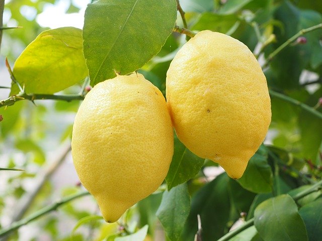 Huile essentielle de citron : bienfaits et utilisation