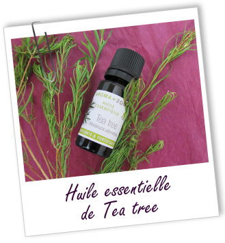 Les bienfaits de l'huile essentielle de tea tree