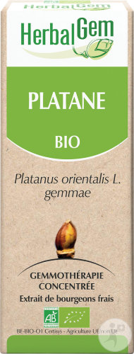 Herbalgem Platane Macérat Concentré De Bourgeons Bio 15ml