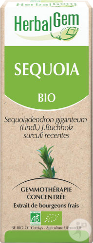 Herbalgem Séquoia Macérât-Mère Concentré Bio 15ml