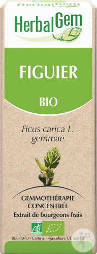 Herbalgem Figuier Macérât-Mère Concentré Bio 15ml