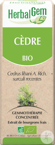 Herbalgem Cedre Macérat Concentré De Bourgeons Bio 15ml