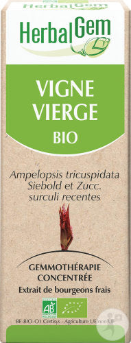 Herbalgem Vigne Vierge Macérât-Mère Concentré Bio 15ml
