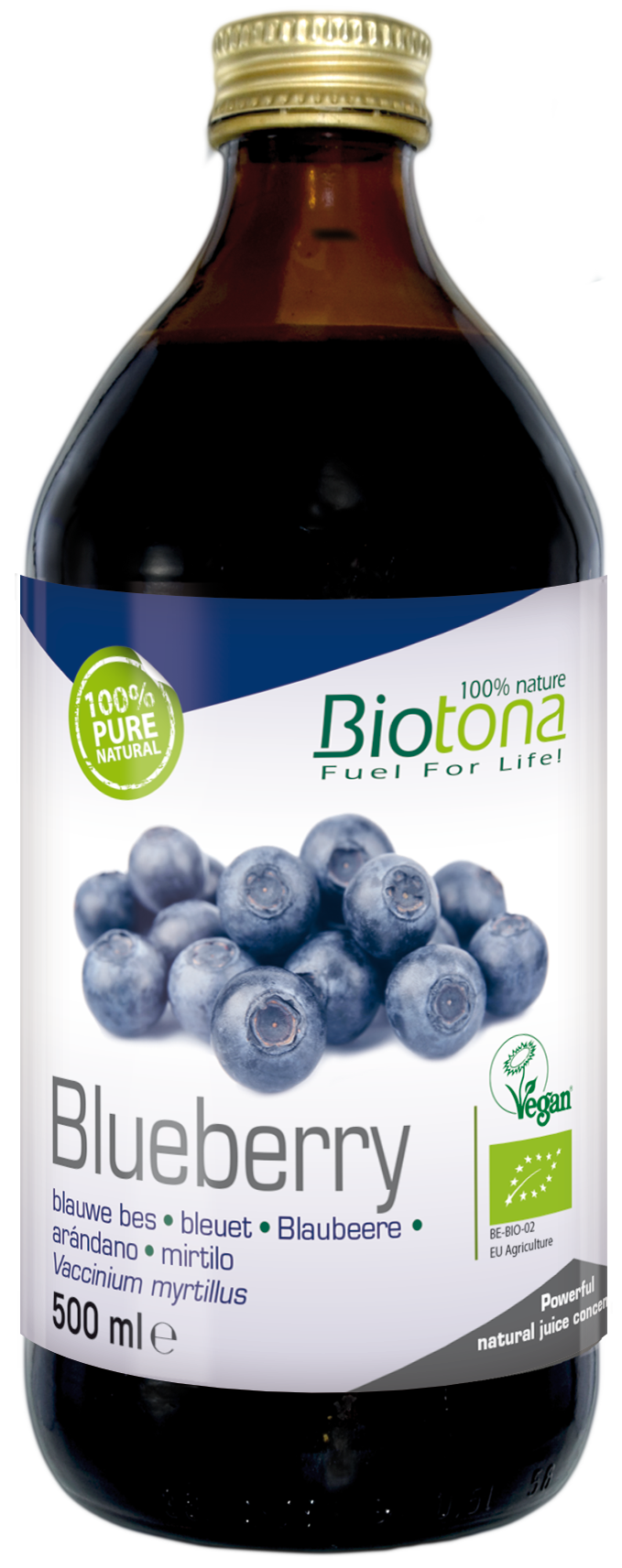 Blueberry conc.  500 ml