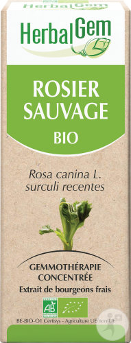 Herbalgem Rosier Sauvage Macérât-Mère Concentré Bio 15ml