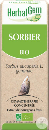 Herbalgem Sorbier Macérât-Mère Concentré Bio 15ml