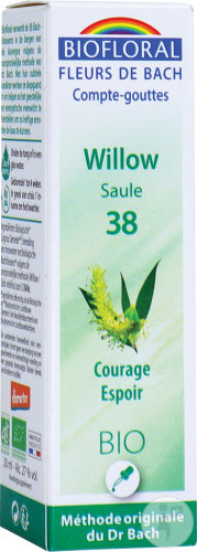 Biofloral Fleurs De Bach Compte-Gouttes 38 Saule Courage Espoir Bio Flacon 20ml