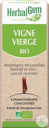Herbalgem Vigne Vierge Bio Macérât-Mère Concentré 50ml